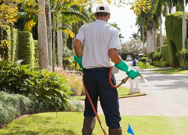 About Glen Ellyn IL Pest Control Pros